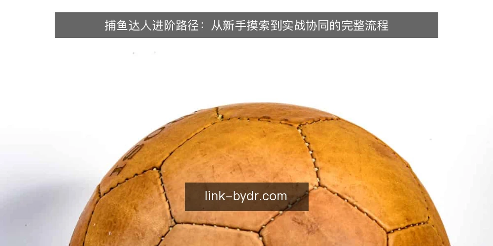 捕鱼达人进阶路径：从新手摸索到实战协同的完整流程 — 新手期常见困惑：为何总是打空炮 配图